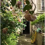 Cosy Calme - Quartier Ve Jardin Des Plantes
